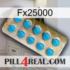Fx25000 new09